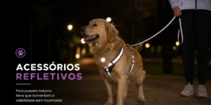 Golden retriever com coleira refletiva em rua noturna