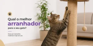 Gato marrom escalando arranhador com bola de corda na sala