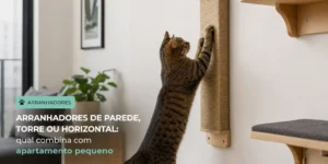 Gato tabby em pé perto de arranhador na parede do apartamento