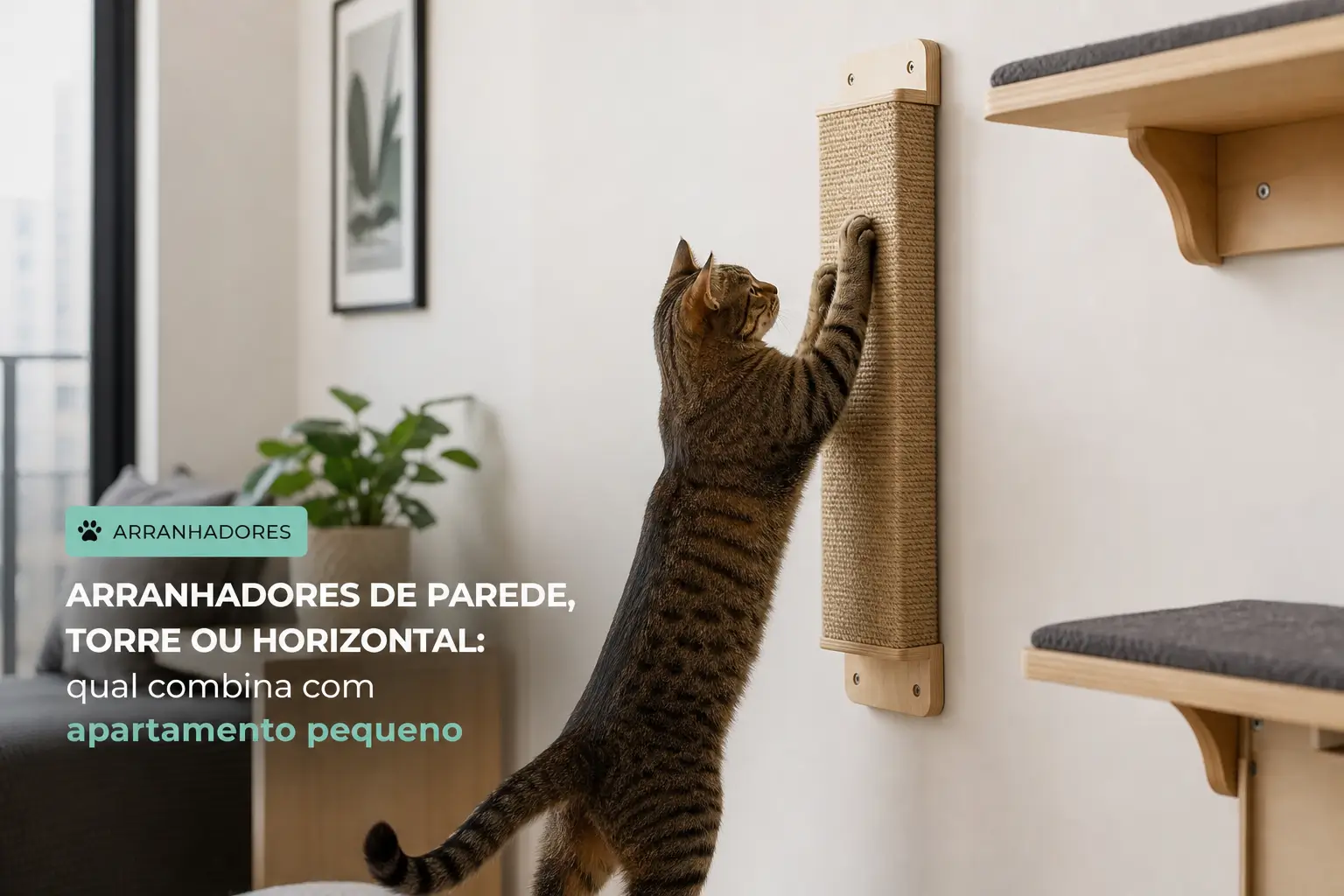 Gato tabby em pé perto de arranhador na parede do apartamento