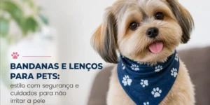 Cachorro pequeno com bandana azul para pets em segurança
