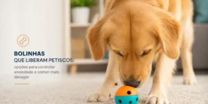 Filhote de golden retriever com bolinha de petiscos