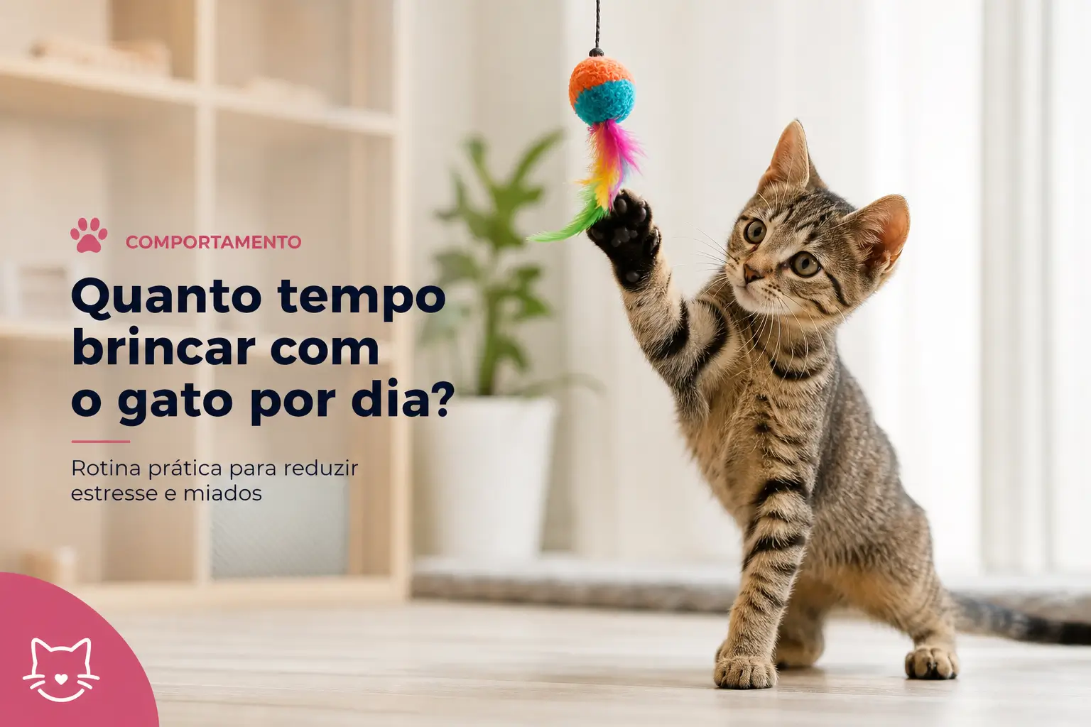 Gatos brincando com brinquedo no fundo de sala iluminada