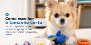 Cachorro pequeno com brinquedo azul cercado de outros brinquedos coloridos