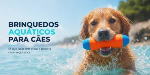 Cachorro dourado nadando com brinquedo aquático azul e laranja