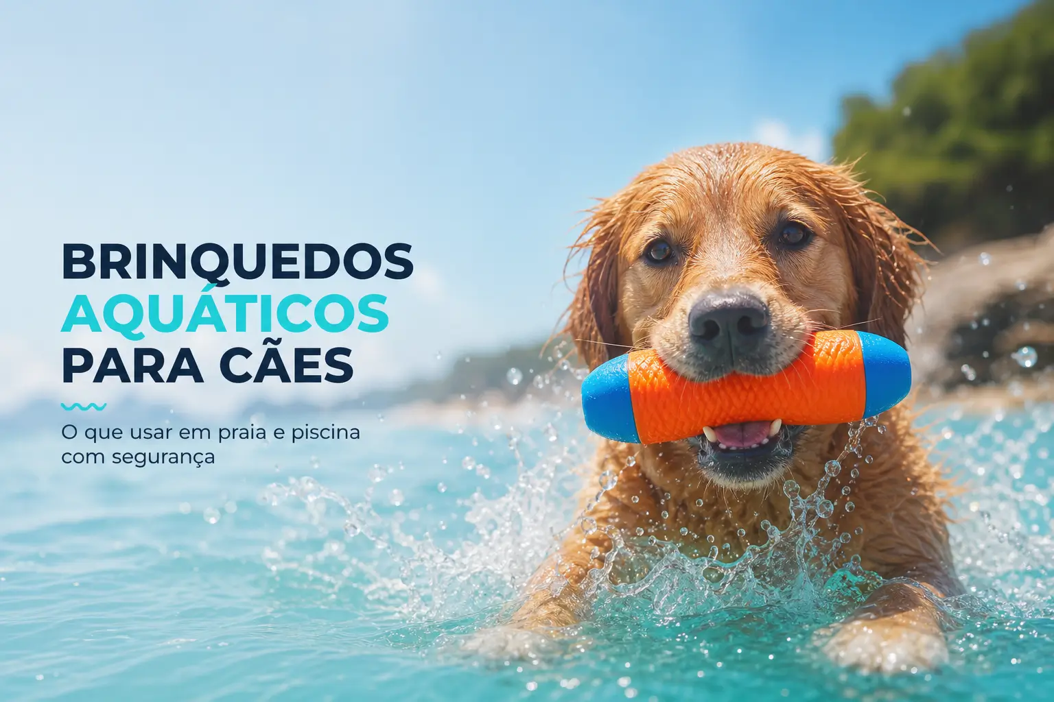 Cachorro dourado nadando com brinquedo aquático azul e laranja