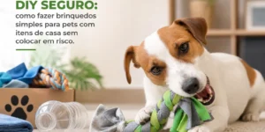 Dois cães brincando com corda no chão da sala