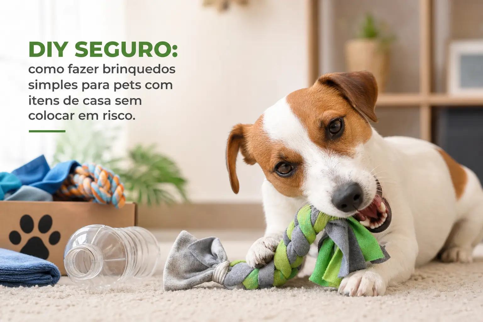 Dois cães brincando com corda no chão da sala