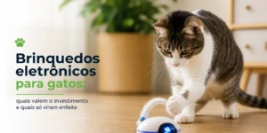 gato tigrado e branco com brinquedo eletrônico no piso de madeira