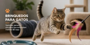 Gato cinza brincando com pena colorida; Brinquedos para gatos.