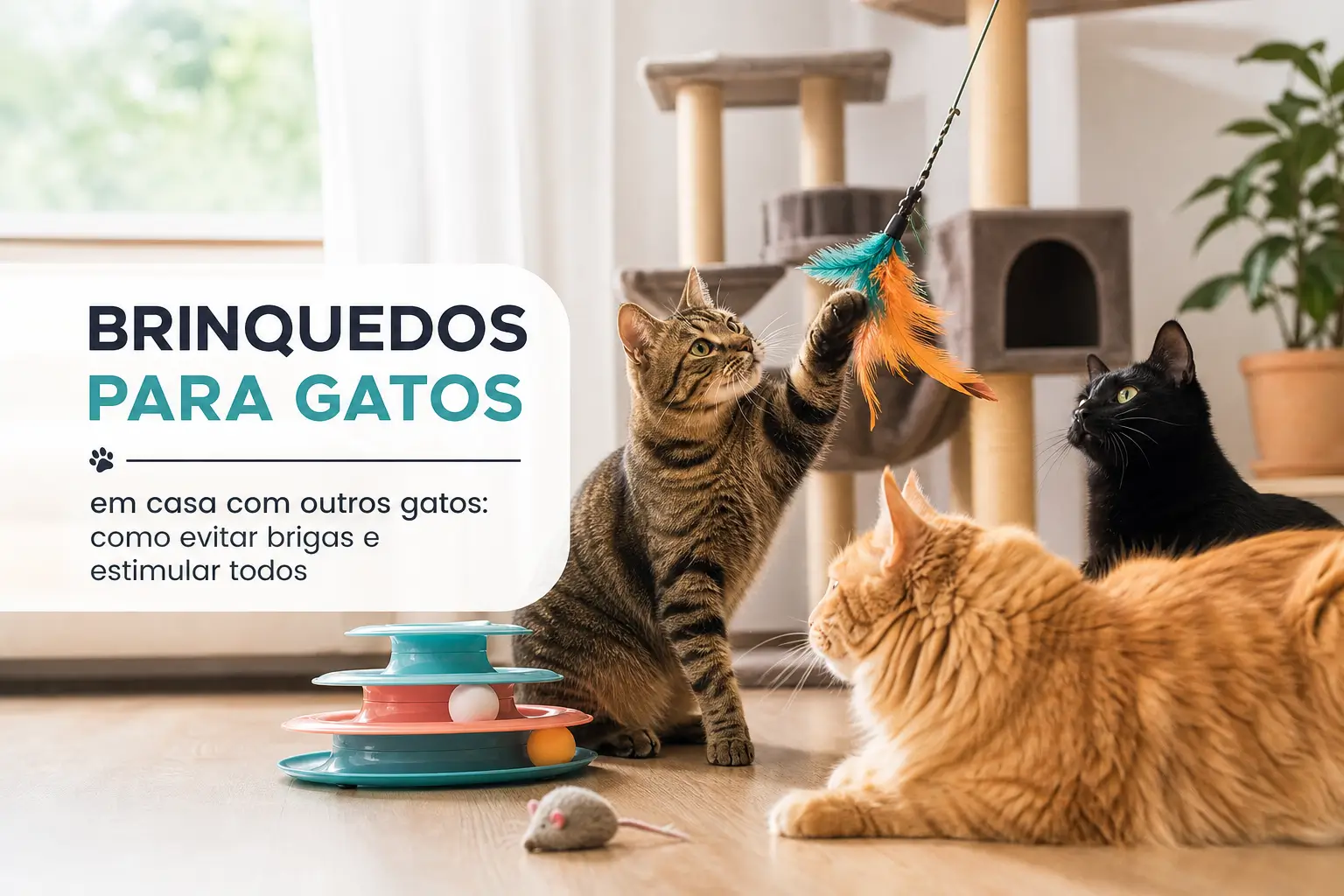 Gatos brincando com brinquedo em casa, evitando brigas