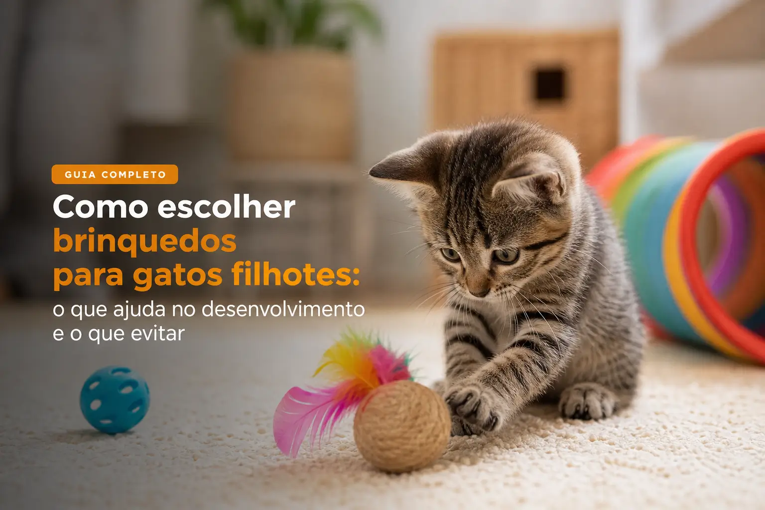 gato filhote cinza com brinquedos no chão