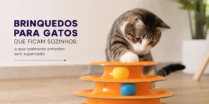 Gato listrado com brinquedo e texto 'Brinquedos para gatos'