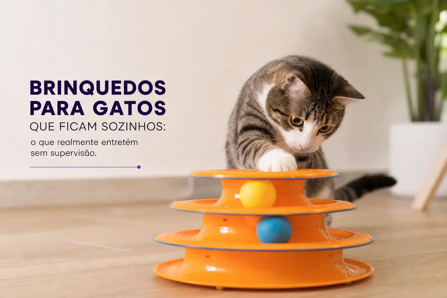 Gato listrado com brinquedo e texto 'Brinquedos para gatos'