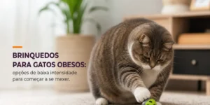 Gato cinza brincando com bola verde para obesos 2026