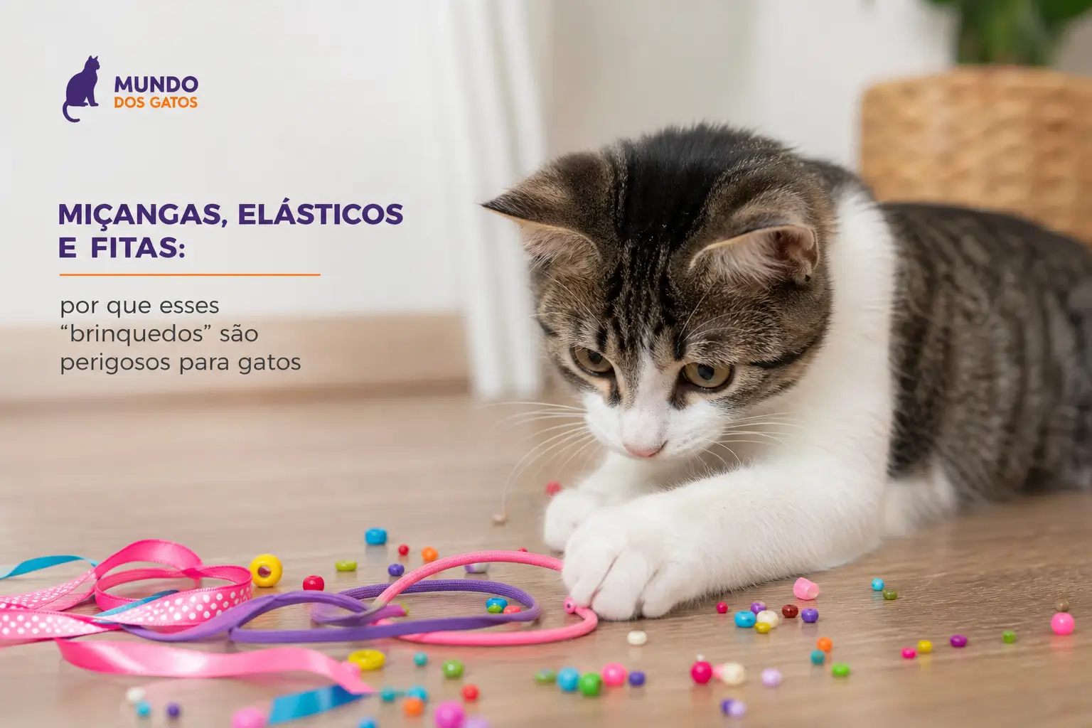 Gato tabby e branco com brinquedos coloridos e elásticos