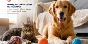 Golden retriever e gato tabby com brinquedos para pets