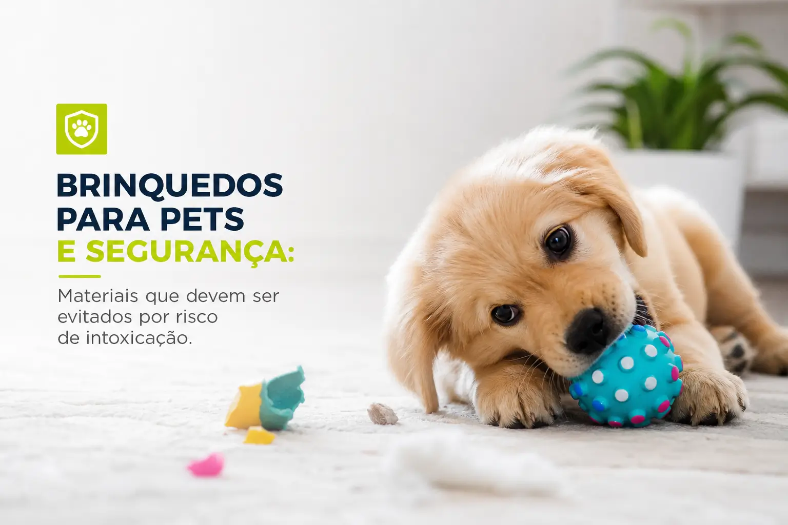 Filhote de cachorro dourado com brinquedo azul e texto sobre segurança de brinquedos