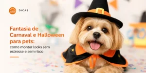 cachorro pequeno com fantasia de Halloween, chapéu de bruxo