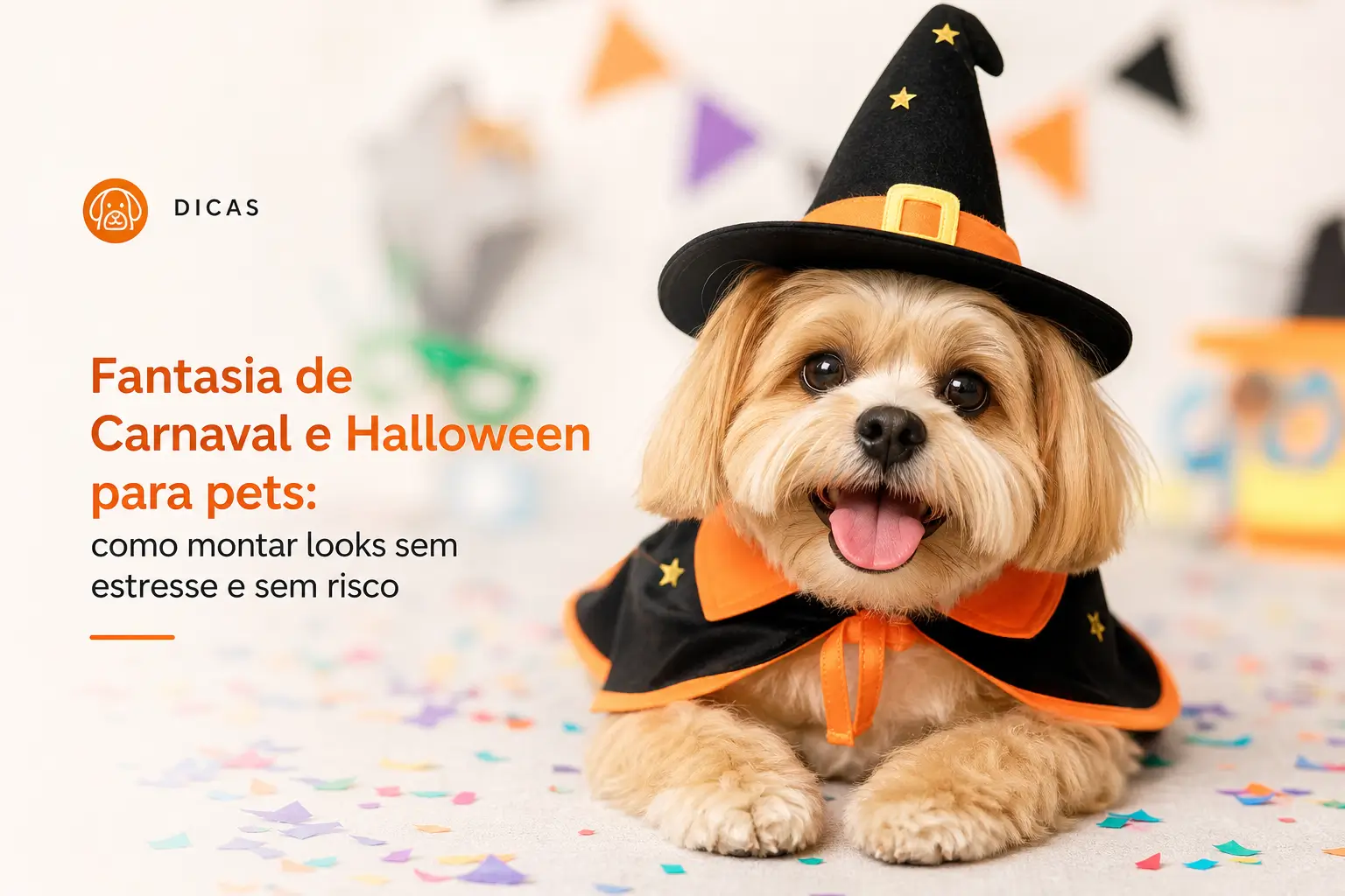 cachorro pequeno com fantasia de Halloween, chapéu de bruxo