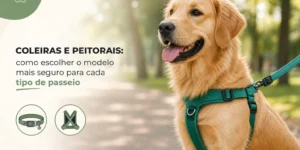 Golden retriever com coleira verde no parque