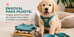 Golden retriever filhote com peitoral verde no sofá com enxoval