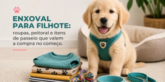 Golden retriever filhote com peitoral verde no sofá com enxoval