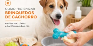 Cachorro feliz com brinquedos e pessoa higienizando objeto azul