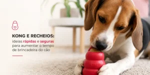 Beagle brincando com brinquedo KONG no tapete de sala