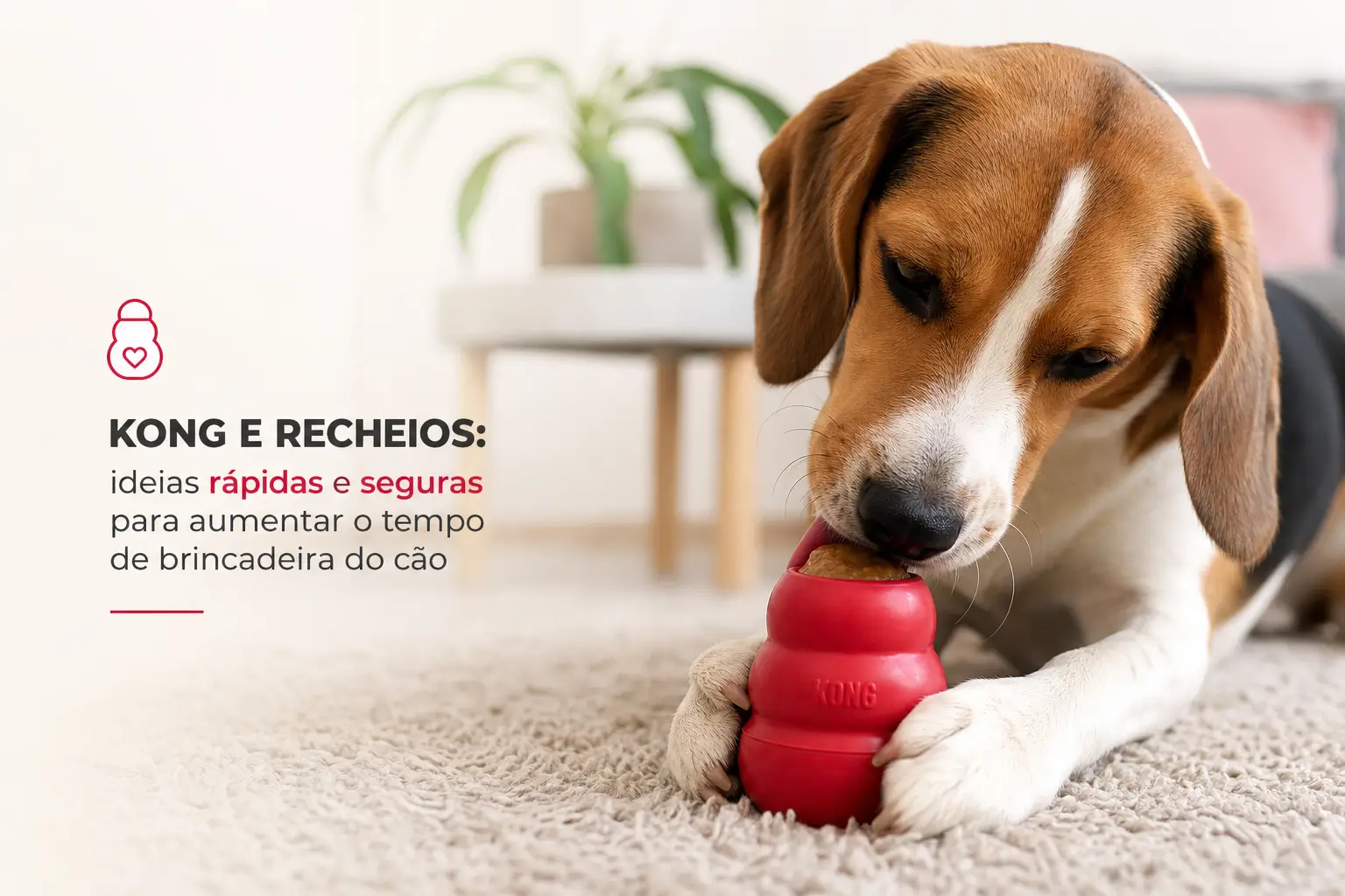 Beagle brincando com brinquedo KONG no tapete de sala