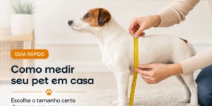 Pessoa medindo cachorro branco e marrom no tapete com fita métrica