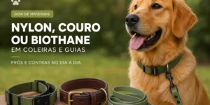 Golden Retriever sorrindo com coleiras verde e marrom na mesa