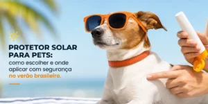 Cachorro em óculos de sol sendo protegido com protetor solar