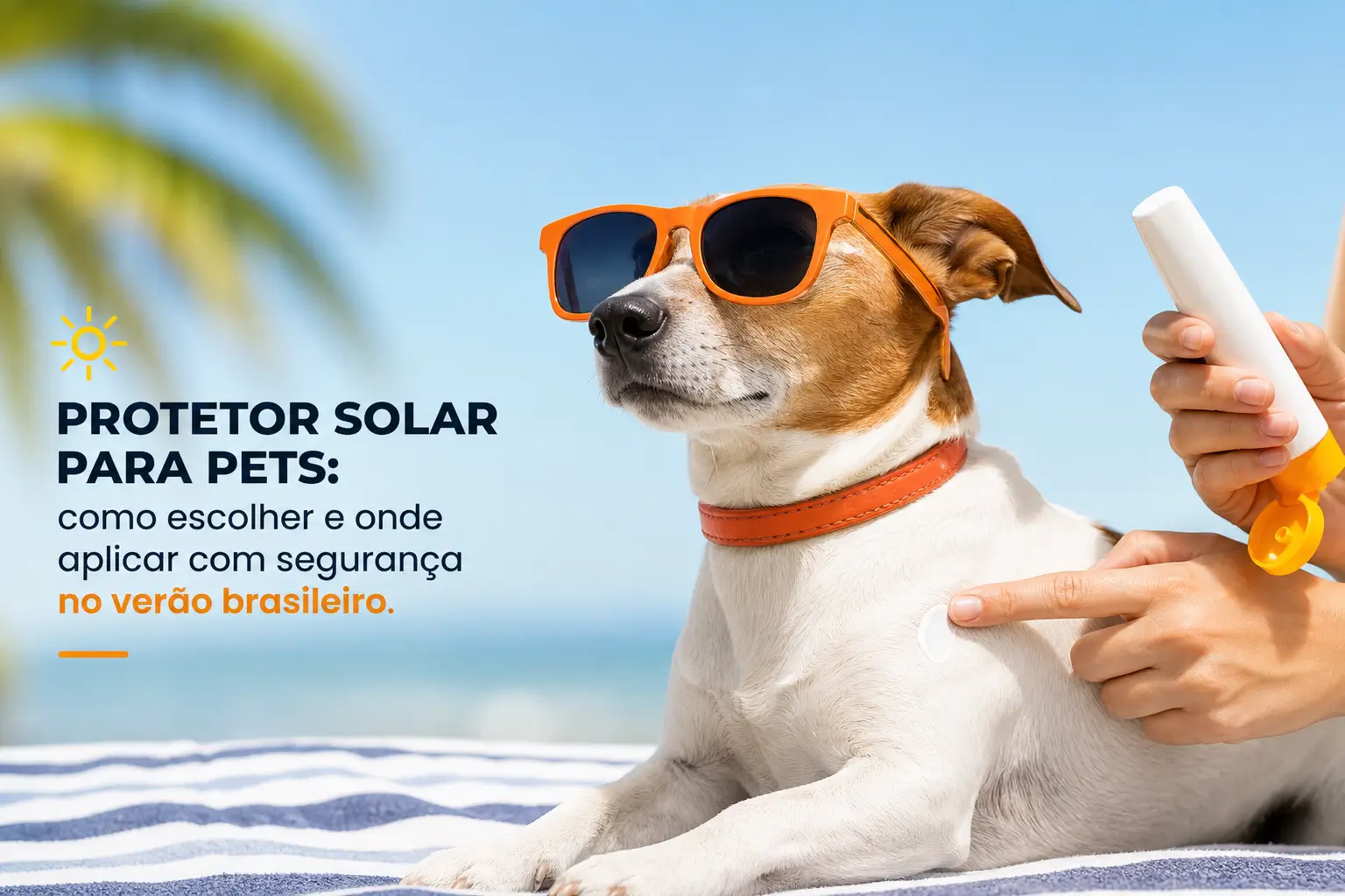 Cachorro em óculos de sol sendo protegido com protetor solar