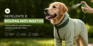 Golden retriever com roupa anti-inseto no parque 2026