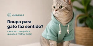 Gato com moletom verde promovendo banner financeiro 2026