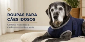Cão idoso cinza com casaco azul em sofá claro