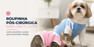 Shih Tzu com roupa pós-cirúrgica azul e gato com roupa rosa