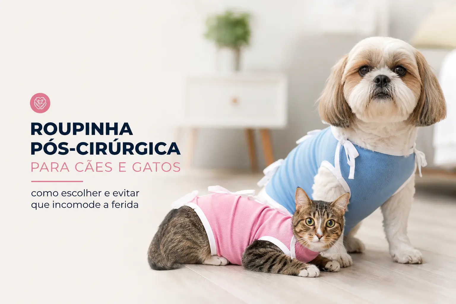Shih Tzu com roupa pós-cirúrgica azul e gato com roupa rosa