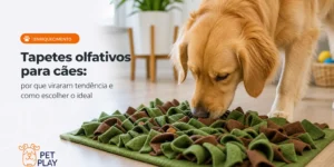 Cachorro dourado no tapete olfativo verde e marrom em sala clara