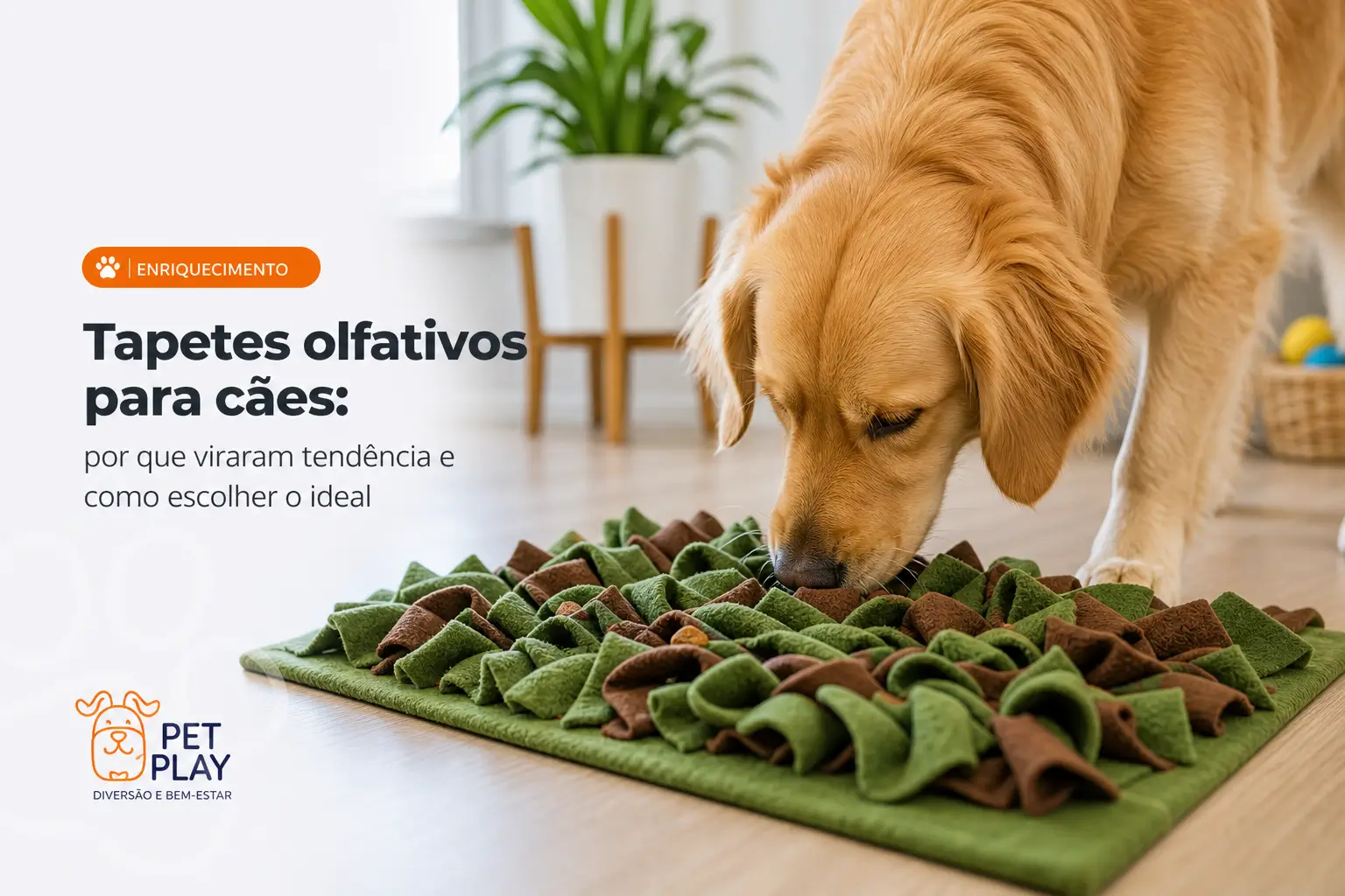 Cachorro dourado no tapete olfativo verde e marrom em sala clara