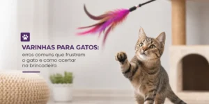 Gato brincando com varinha no chão da sala