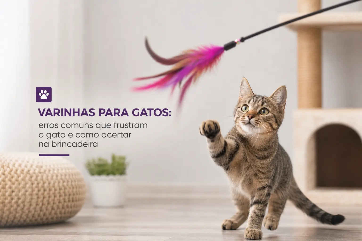 Gato brincando com varinha no chão da sala